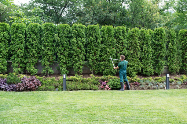 Best Tree Pruning Services  in Tignall, GA